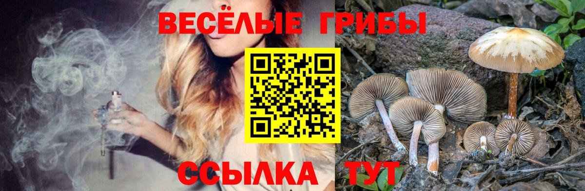 Псилоцибиновые грибы ЛСД Михайловка
