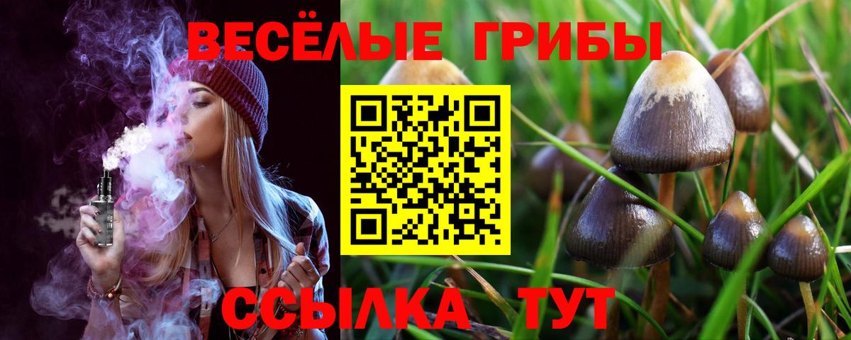 Михайловка  Галлюциногенные грибы мухоморы  купить закладку  Псилоцибиновые грибы Psilocybine cubensis  Вход с VPN 